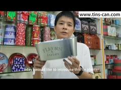 Ωοειδές γαλβανισμένο δοχείο καλλιεργητών βάζων μετάλλων ψευδάργυρου για τη διακόσμηση κήπων λουλουδιών